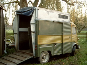 Paard en wagen.jpg