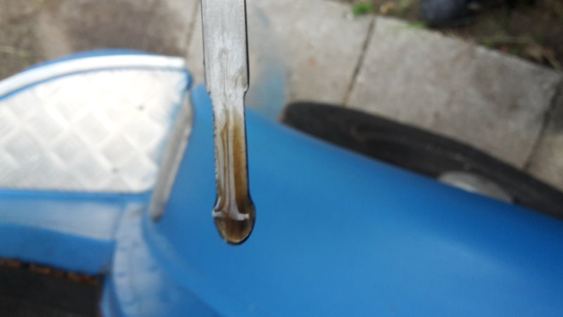 20191024_172617[1].jpg