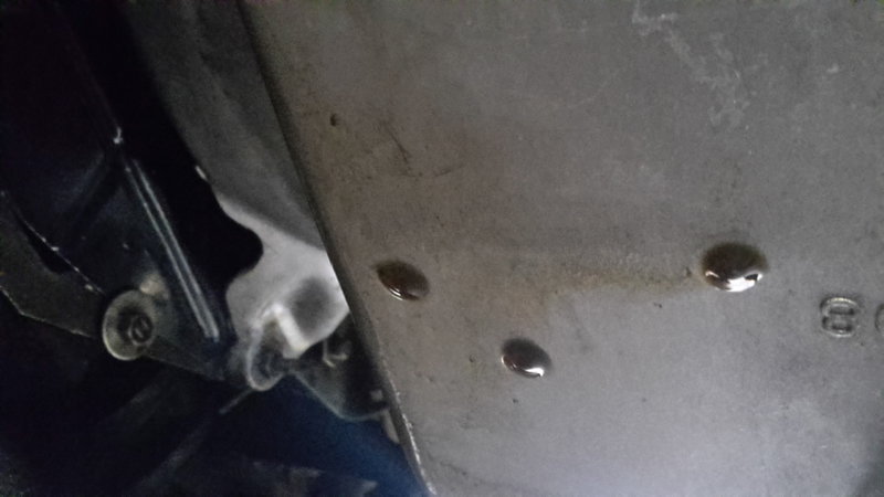20191024_172856[1].jpg