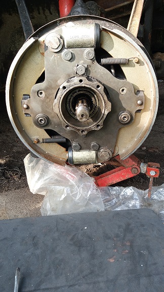 IMG_20260209_123200_191 klein.jpg